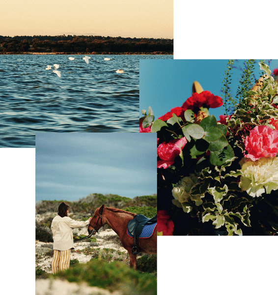 20251127_LC_Landing_Collage2 20251127_LC_Landing_Collage2