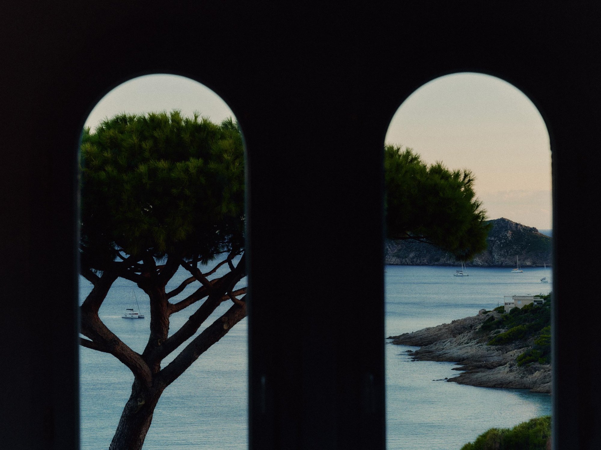 ALIOCHABOI—COLLECTIONNIST 22 V2