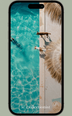 app - gif LP